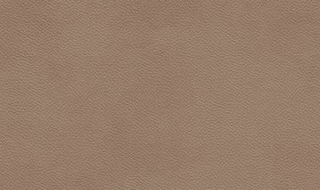 Material GAVIN CAMEL Details from Venjakob