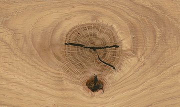 Material 72 Wild Oak light soft brushed oiled Details from Venjakob