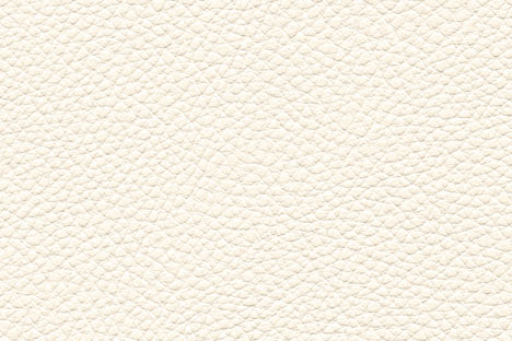 Material LEDER SAHNEWEISS Details von Venjakob