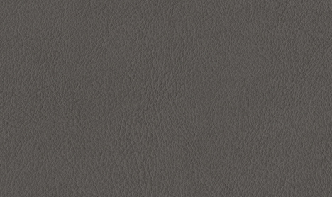 Material LEDER SAUVAGE ELEPHANT Details von Venjakob